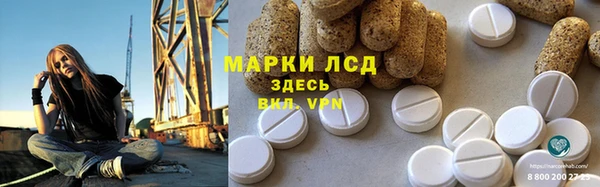стаф Алексин
