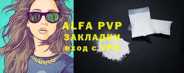 стаф Алексин