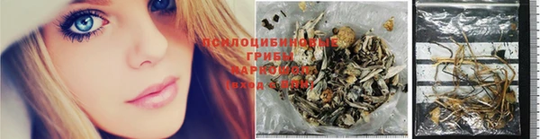 стаф Алексин