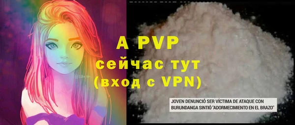 стаф Алексин