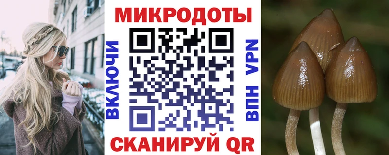 даркнет сайт  hydra рабочий сайт  Псилоцибиновые грибы прущие грибы  Нефтекумск 